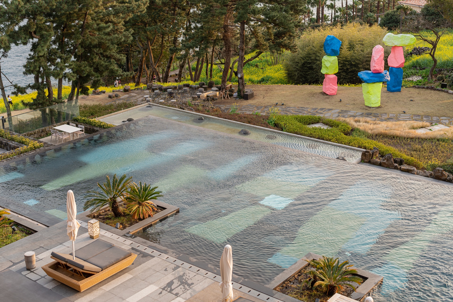 #JW가든 #JW메리어트제주 #댄싱두루미 #더플라잉호그 #아일랜드키친 #유채꽃 #제주사진 #제주여행 #제주유채꽃 #제주호텔