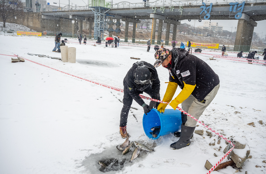 청평 설빙 송어빙어 축제4