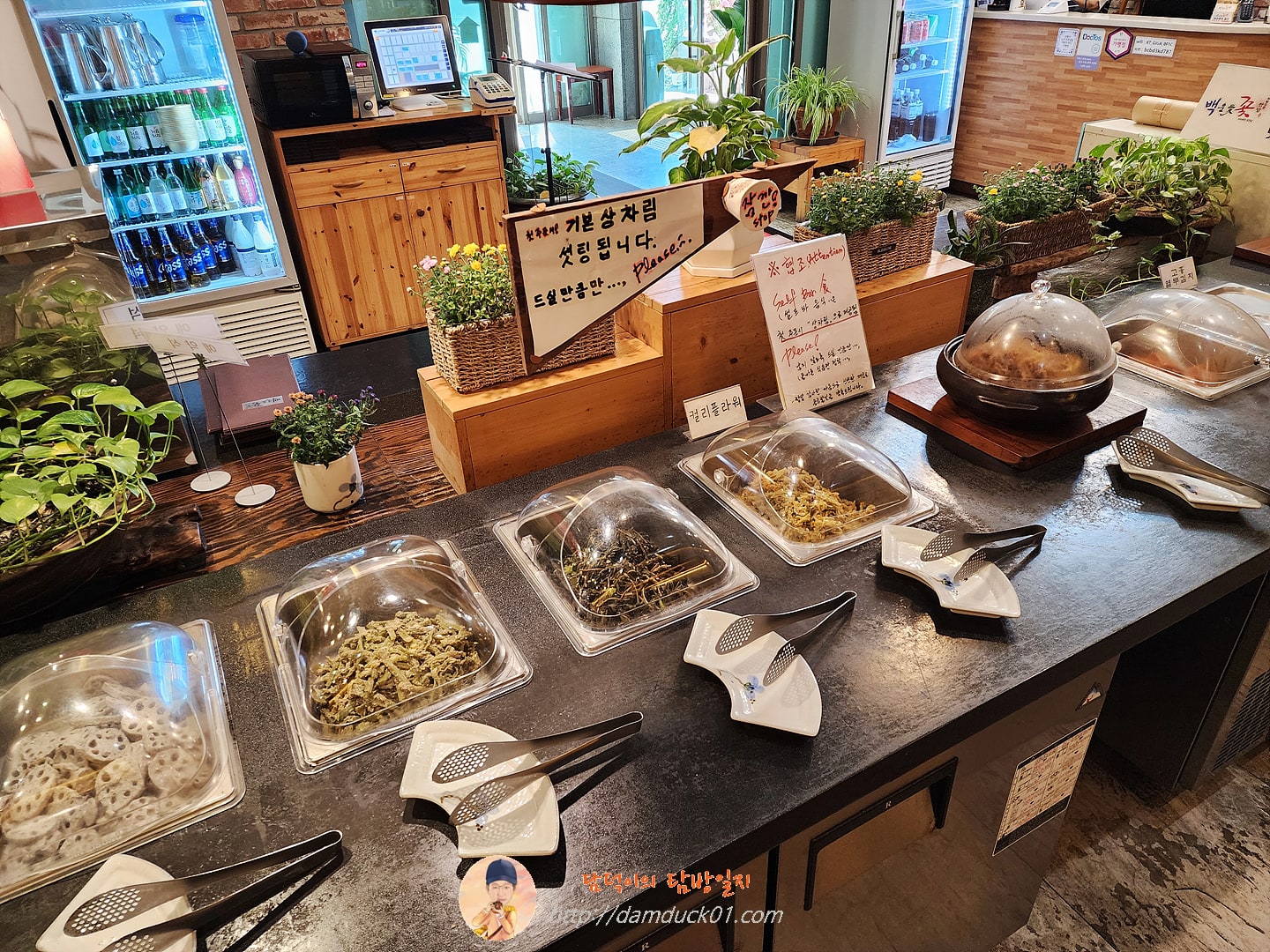 백운애꽃 셀프 코너