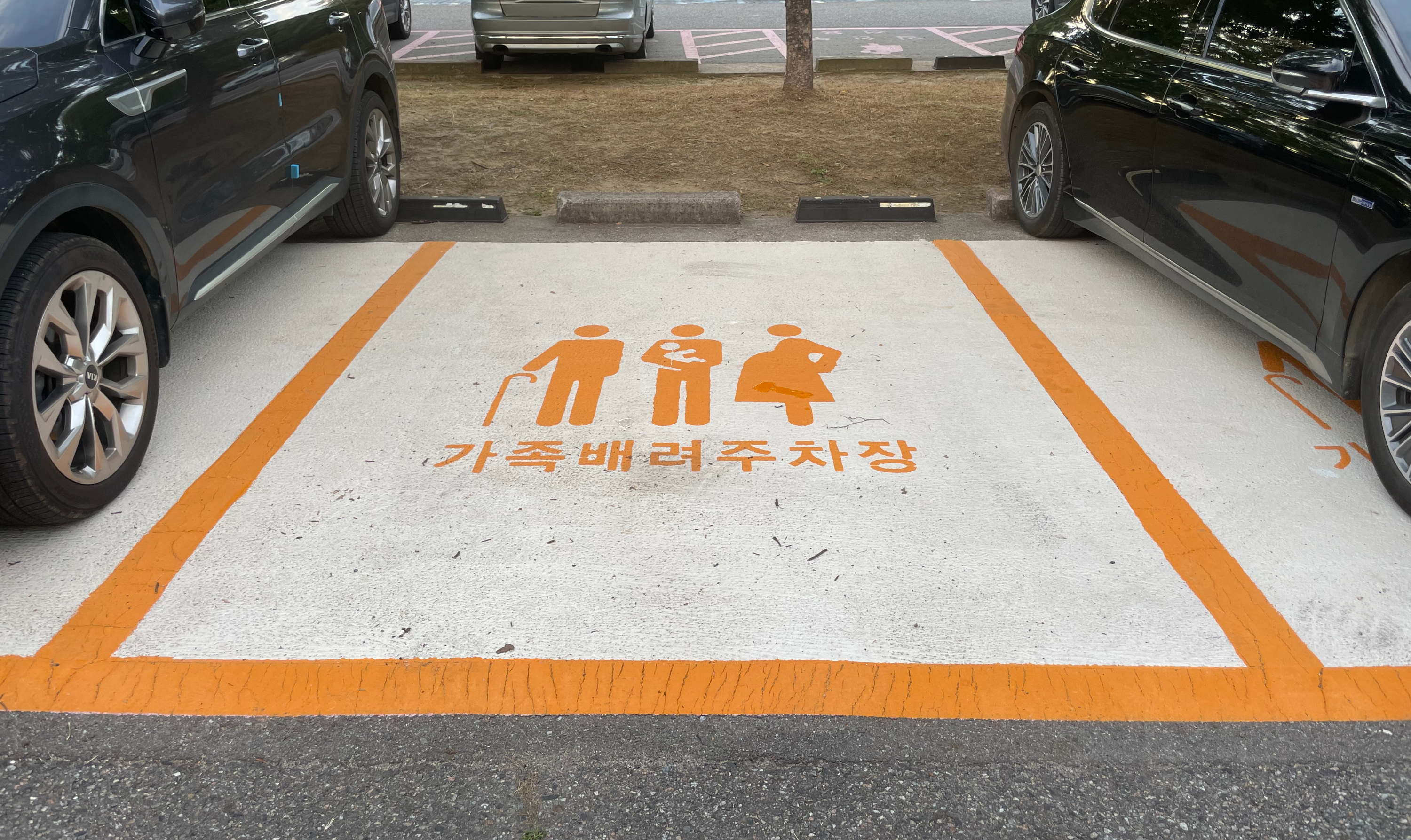 상암 월드컵공원 평화광장(평화의공원) 난지한강공원