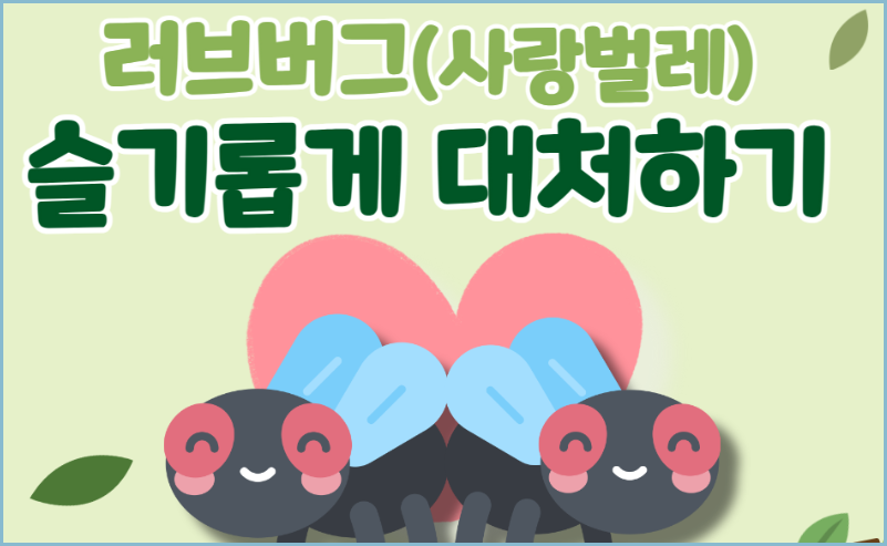 러브벌레-대처법