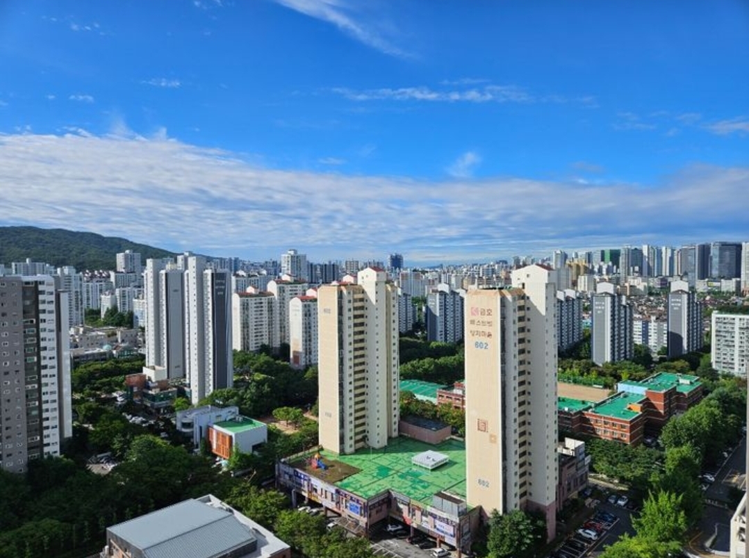 분당신도시 선도지구 양지마을 1단지 금호 아파트