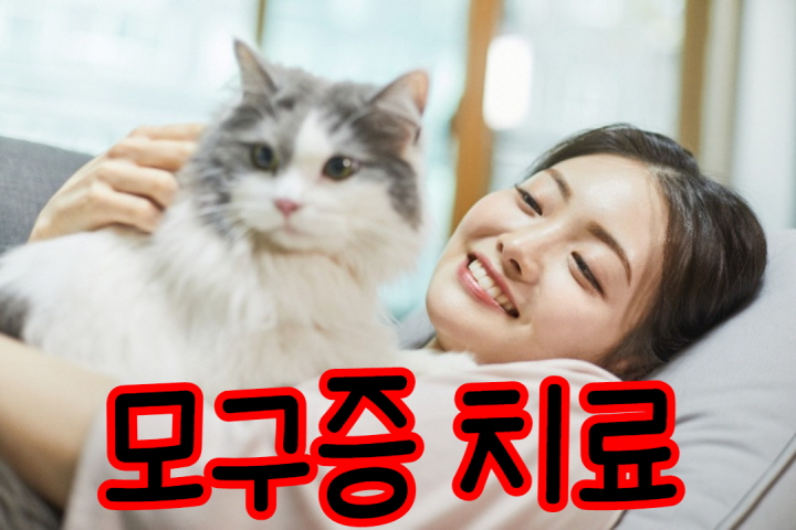 고양이치료
