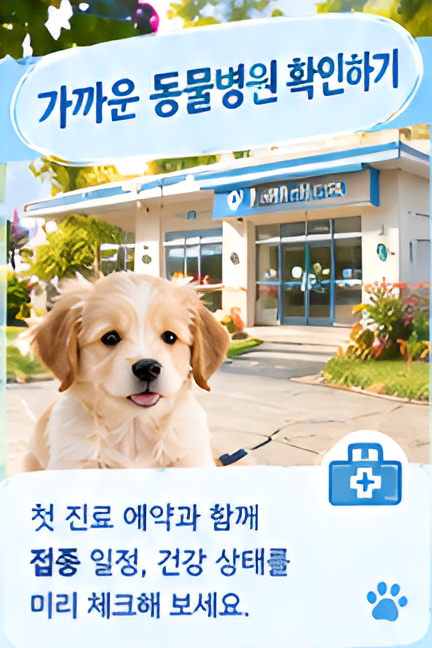 반려견 처음 키울 때 필수 준비물, 체크리스트, 첫날부터 덜 당황하는 준비법