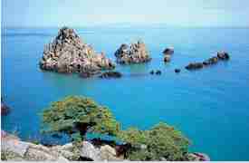 발왕산 케이블카 티켓 3분 완벽 구매법