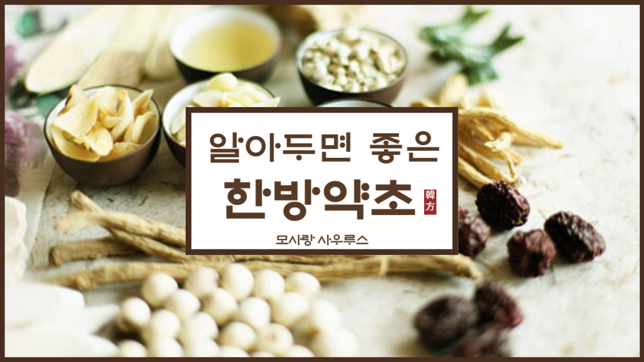 알아두면 좋은 한방약초