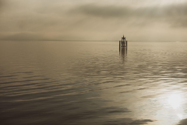 맥락막 흑색종 증상&middot;원인&middot;치료 - 눈 안에서 생기는 암&amp;#44; 조기 발견이 중요