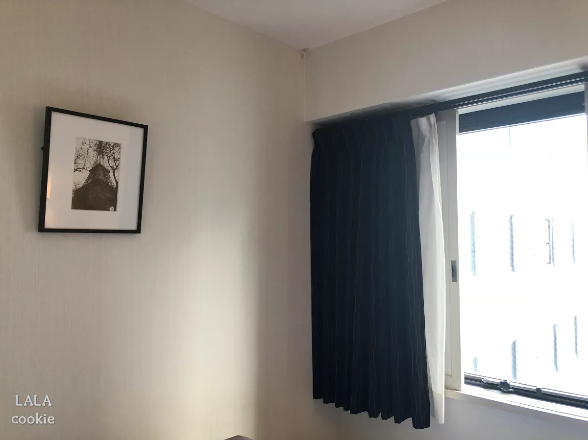 후쿠오카-텐진-가성비-숙소-추천-플라자호텔-후기-액자