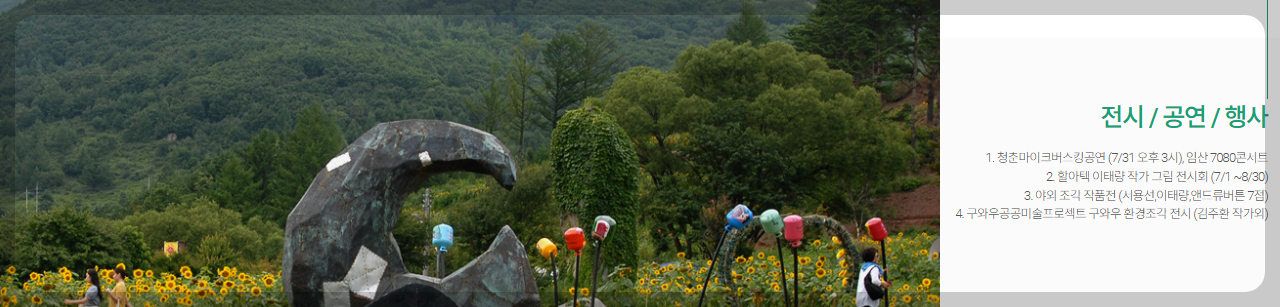 태백 해바리기축제