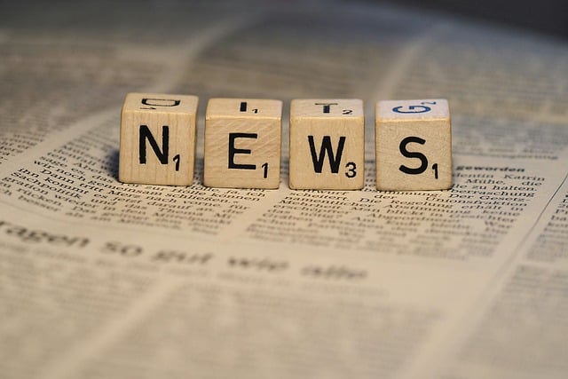 정처기, 산안기, 기술사