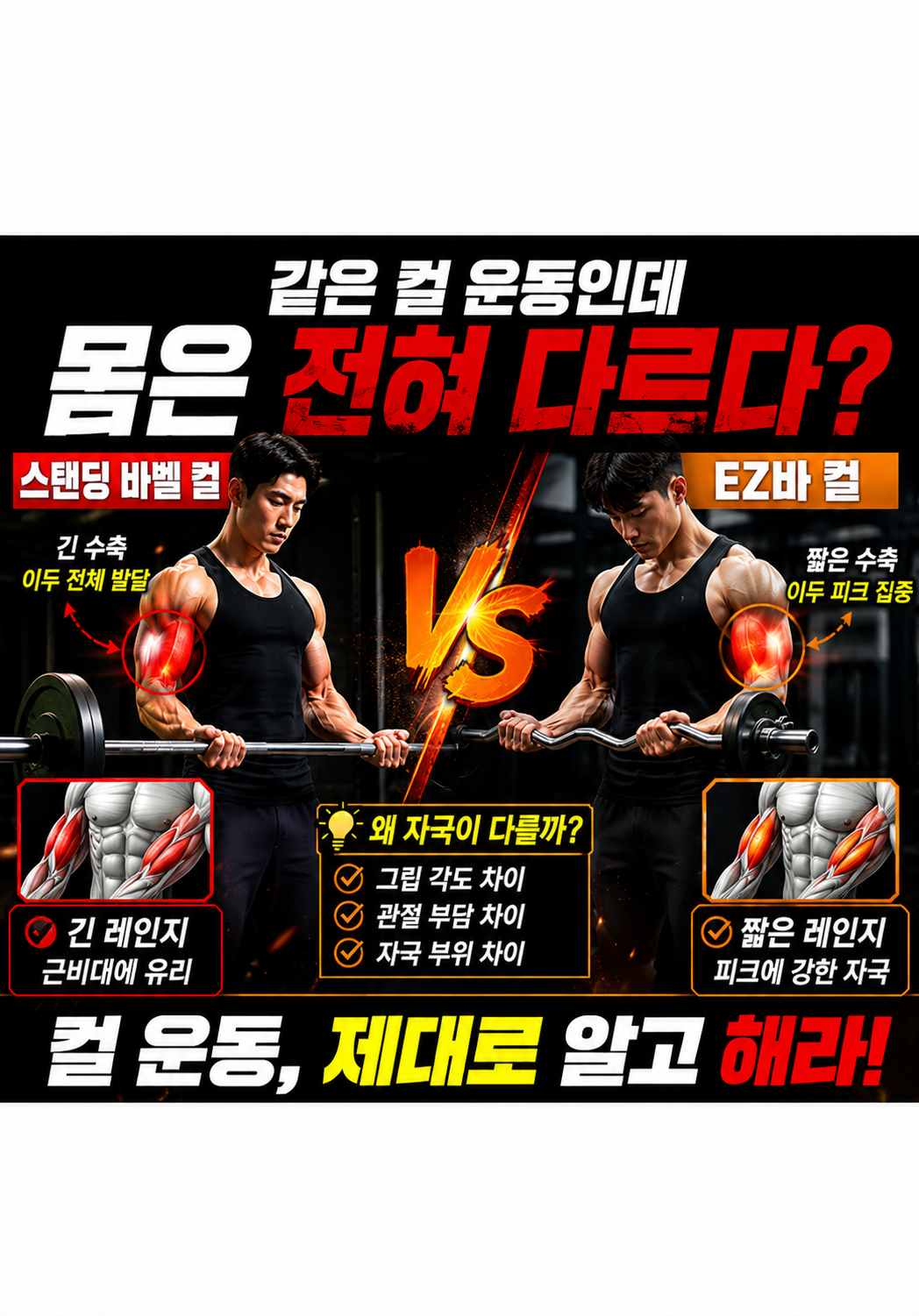 스탠딩 바벨 컬 vs EZ바 컬:왜 같은 컬 운동인데 몸은 전혀 다르게 기억할까