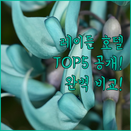 네덜란드 레이든 여행 필수 호텔 추천..