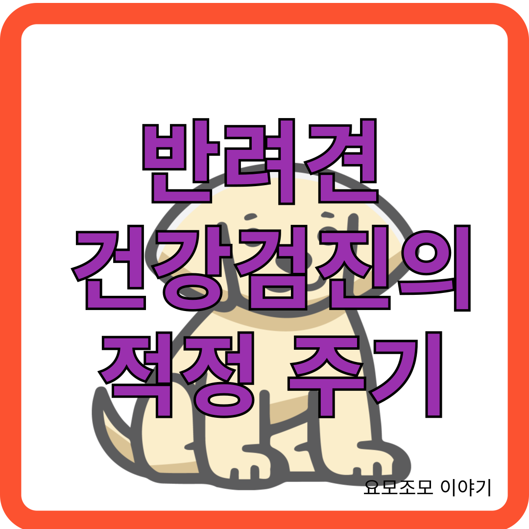 반려결-건강검진-적정-주기