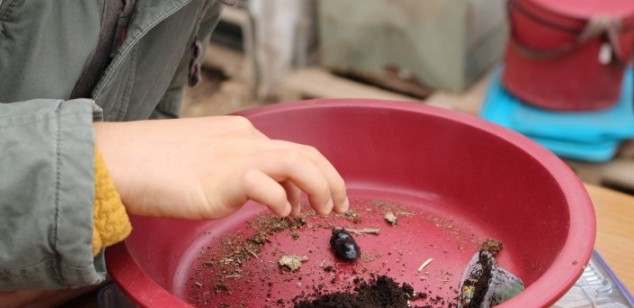 주말 아이랑 가기 좋은 곳 추천 - 김포곤충농장