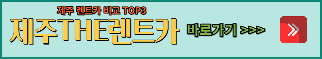 제주렌트카 (35)