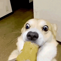 포토샵 GIF 용량 변경 후