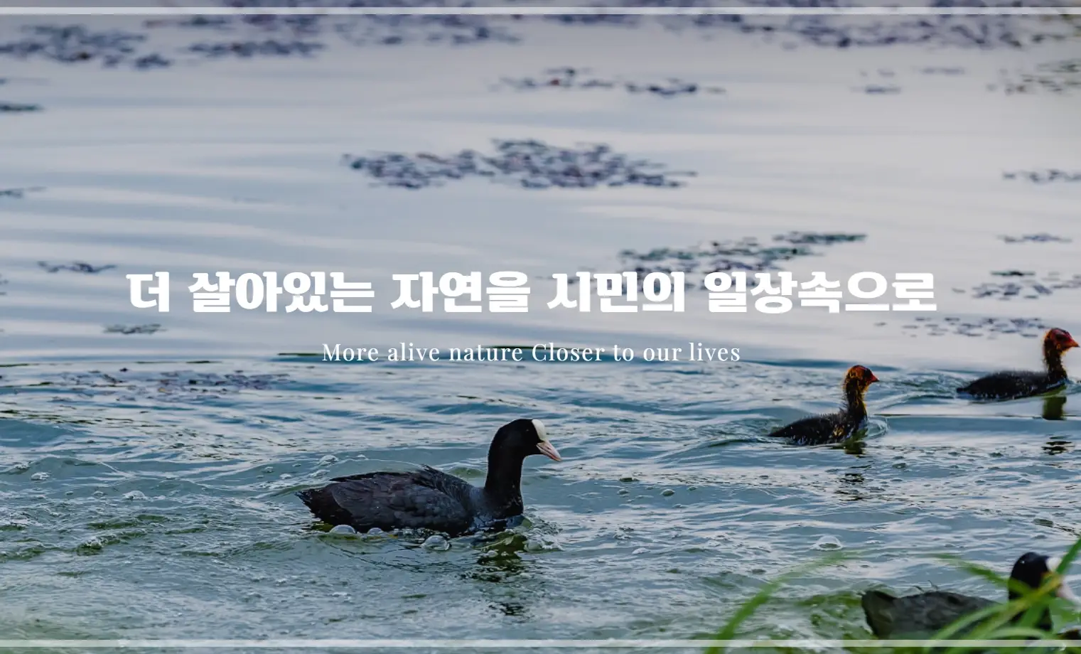 일월수목원-입장료-운영시간-주차-요금-관람