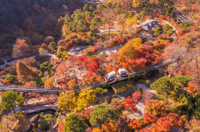 곤지암 화담숲 예약 취소하기