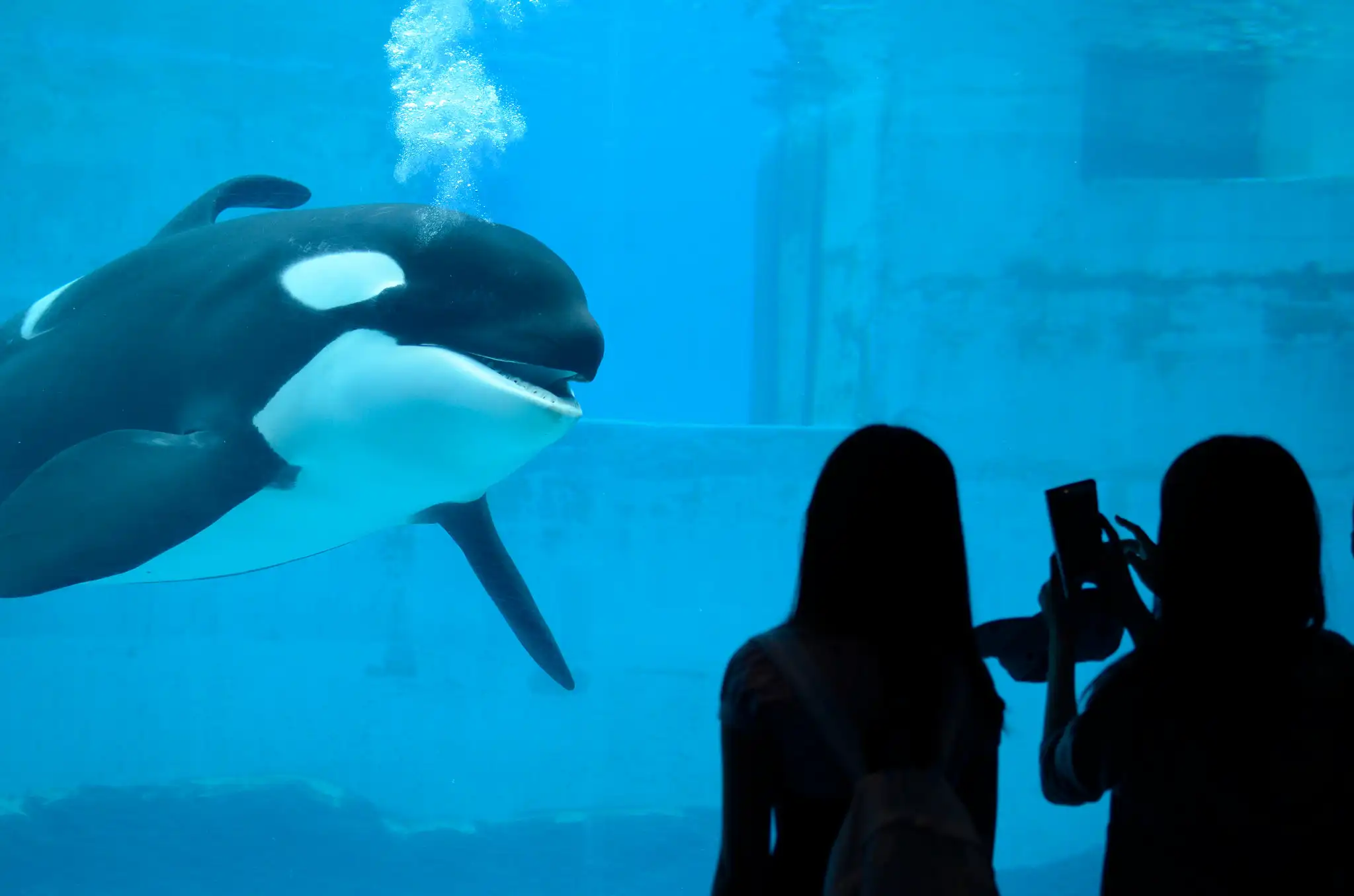 나고야항 수족관