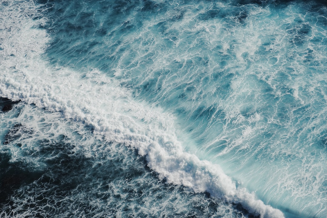 ‘OCEAN’