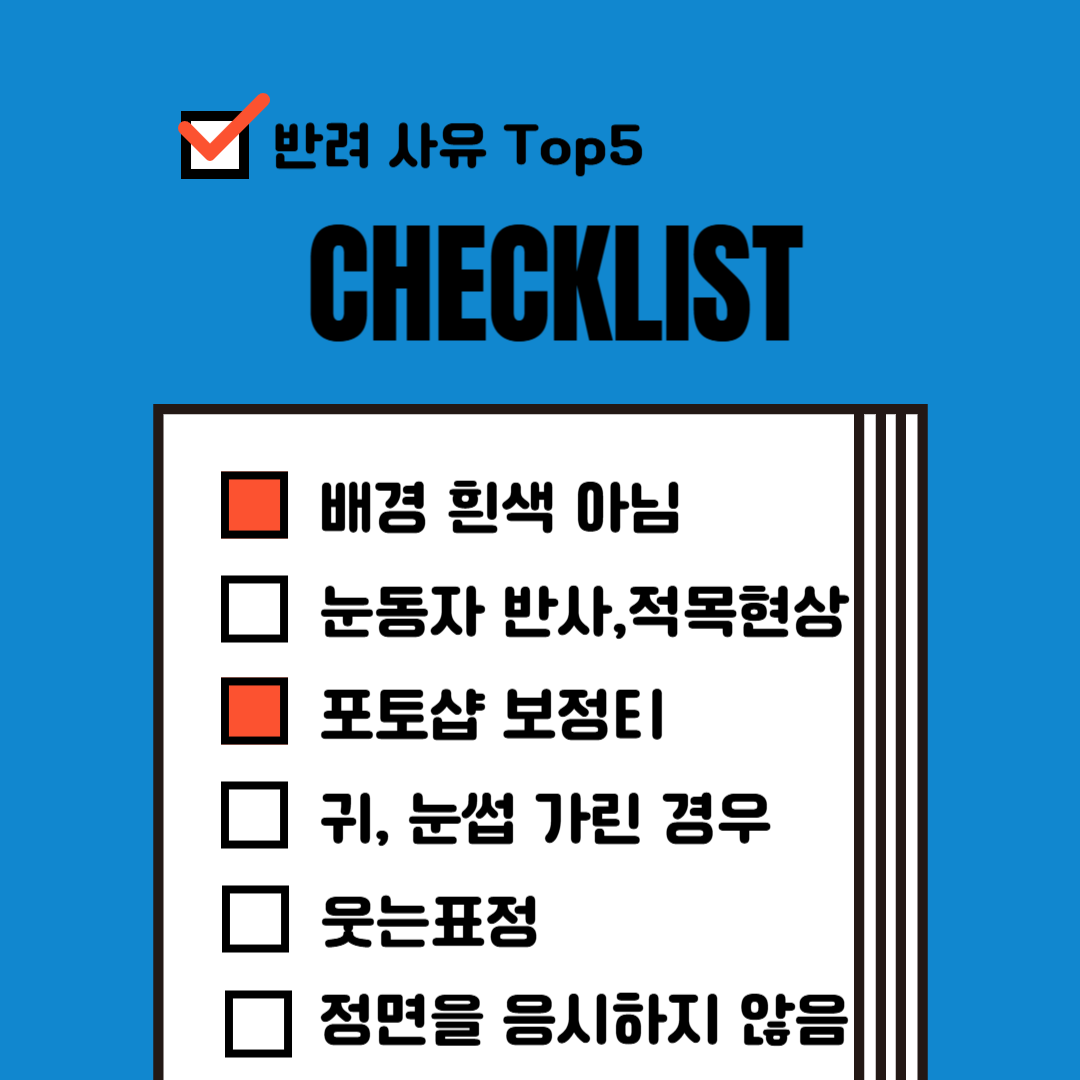 여권사진반려샤유