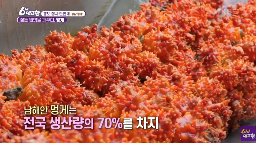 6시내고향 통영 멍게 썸네일