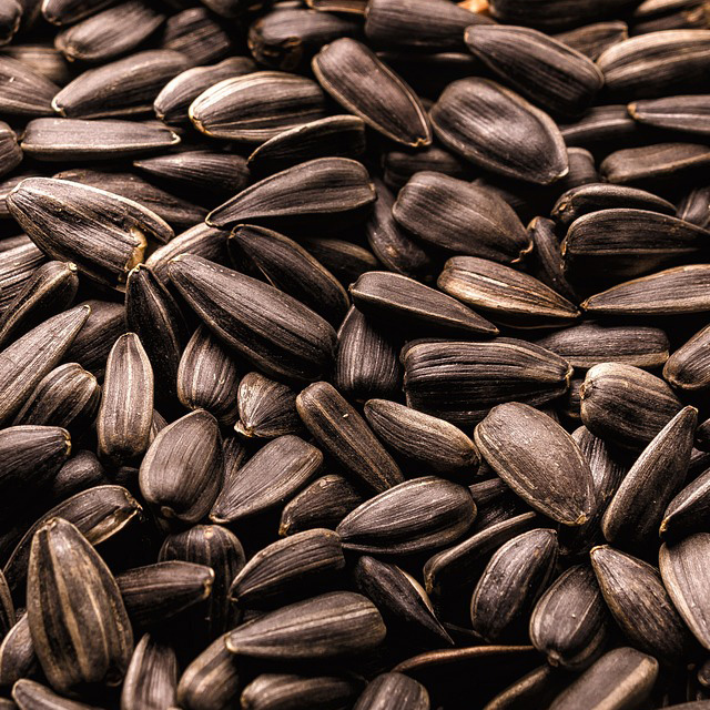 눈에 좋은 음식