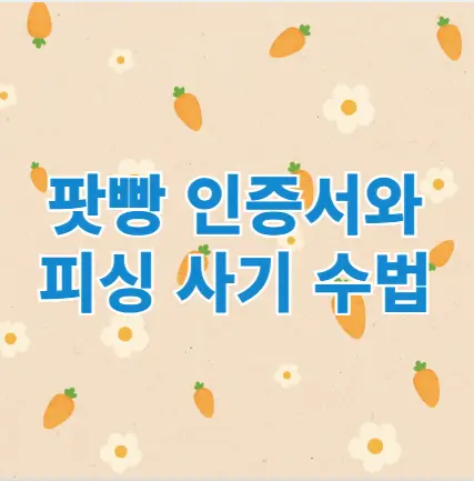 팟빵 인증서와 피싱 사기 수법