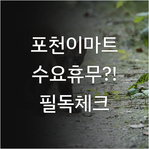 2026년 3월 이마트 포천점 운영 ..