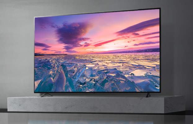 LG 대형 TV