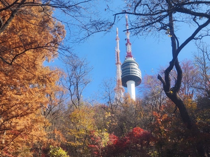 서울 단풍명소 TOP10 ❘ 2025 가을 여행 추천 스팟 총정리 관련 사진