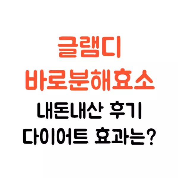 글램디 효소 내돈내산 후기, 다이어트 효과는