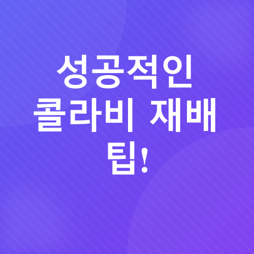 콜라비 재배_5