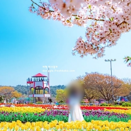 5월에 가볼만한 국내 여행지 베스트10