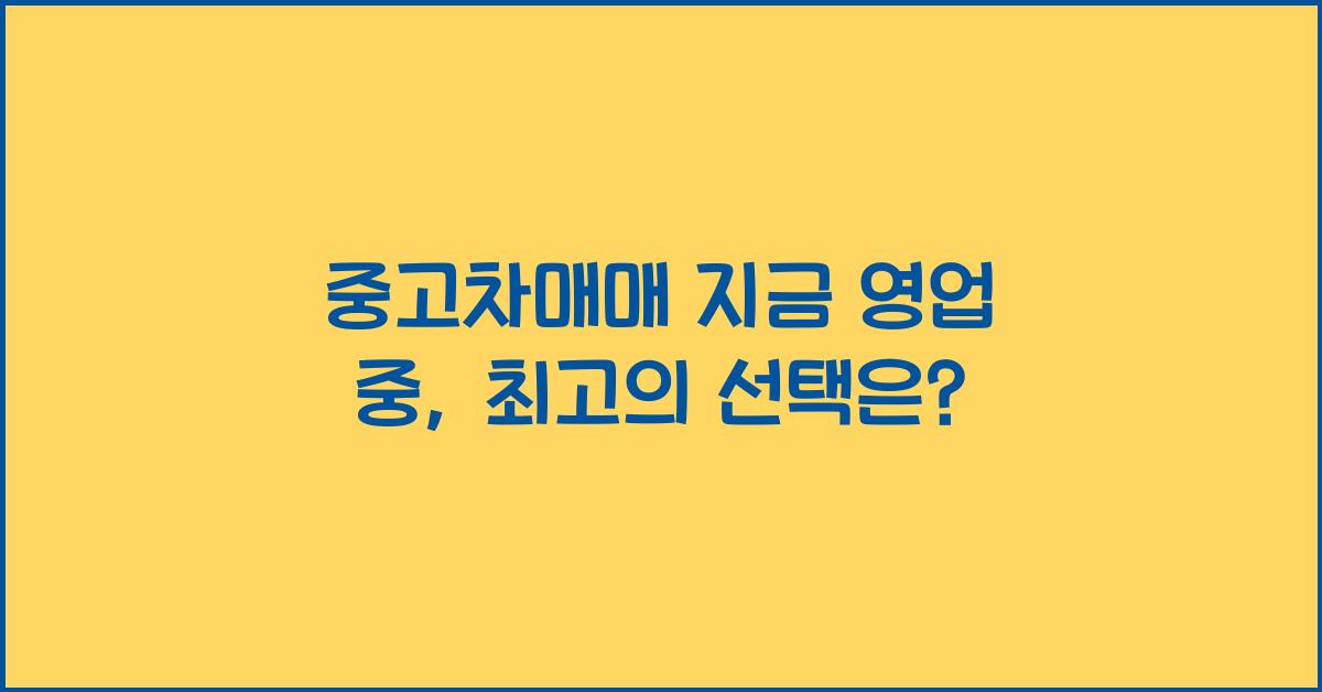중고차매매 지금 영업 중