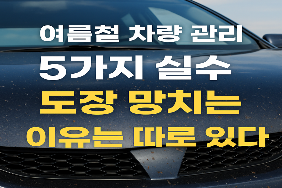 여름 자동차 세차 방법