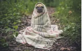 코감기 빨리 낫는법