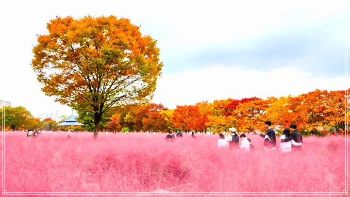 오대산 단풍 절정시기 날짜와 코스