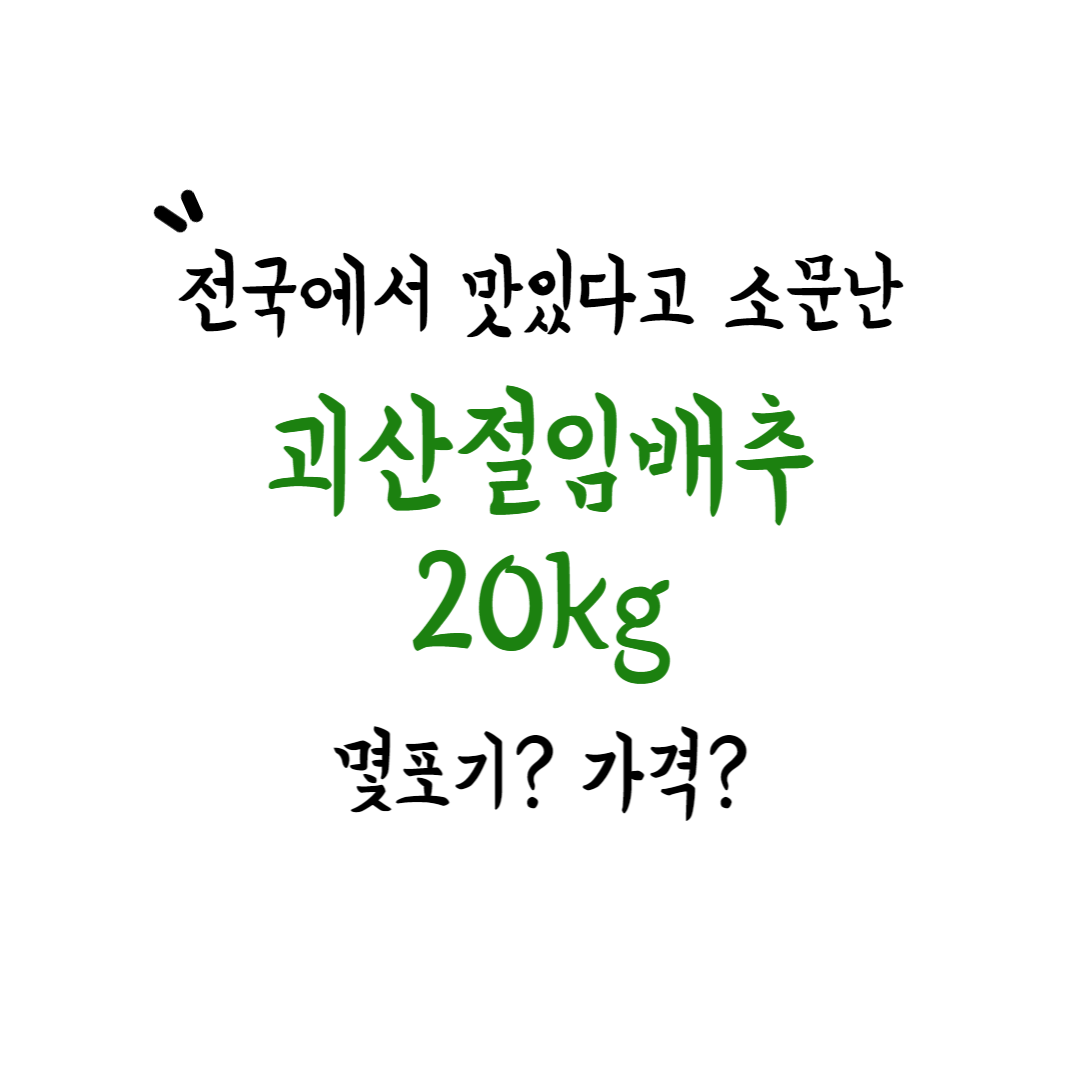 괴산절임배추20kg