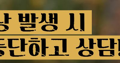 상황버섯 효능 부작용