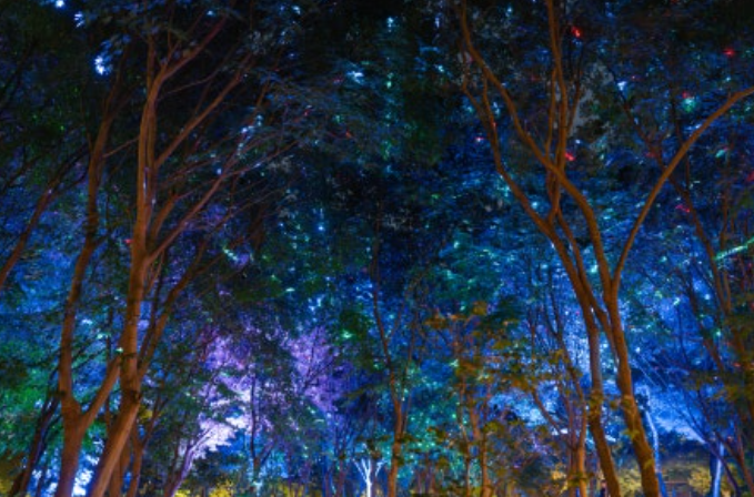 수원 일월수목원 야경개장