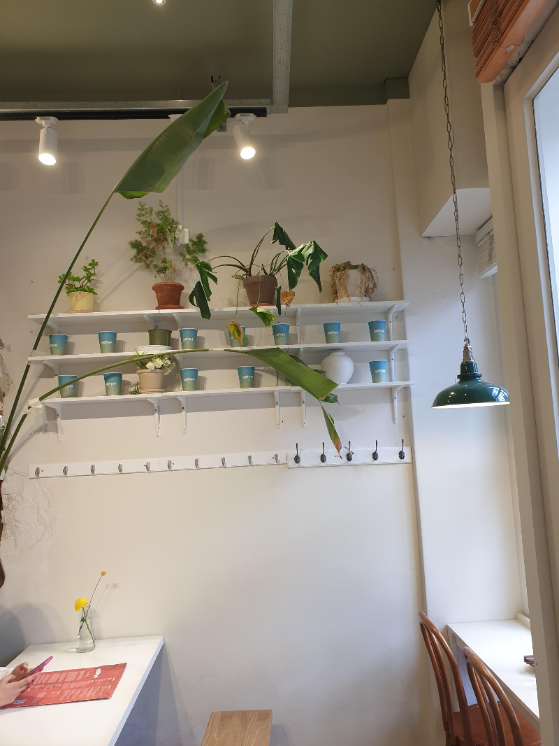 이곳 모든 화분은 선반 위에 올려져 있다.