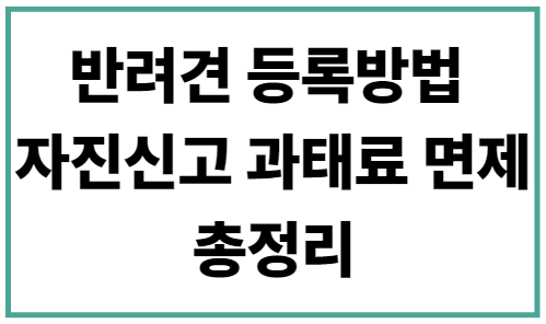 반려견 등록방법 자진신고 과태료 면제 총정리