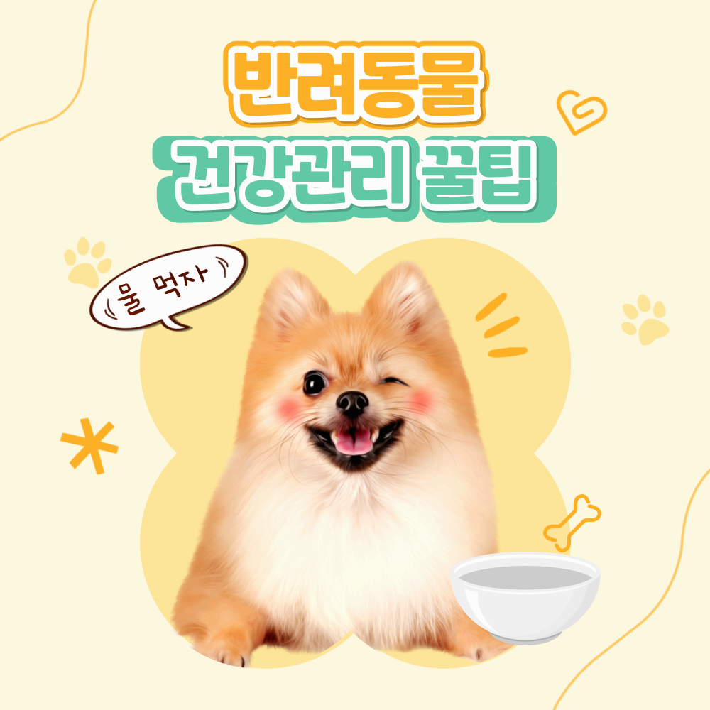 명절 동안 반려동물의 물 섭취량 늘리는 법