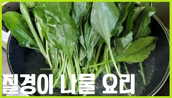 질경이 나물과 요리