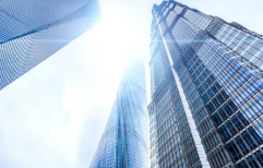 금양 주가 전망, 금양 거래정지, 코스피200 퇴출 확정