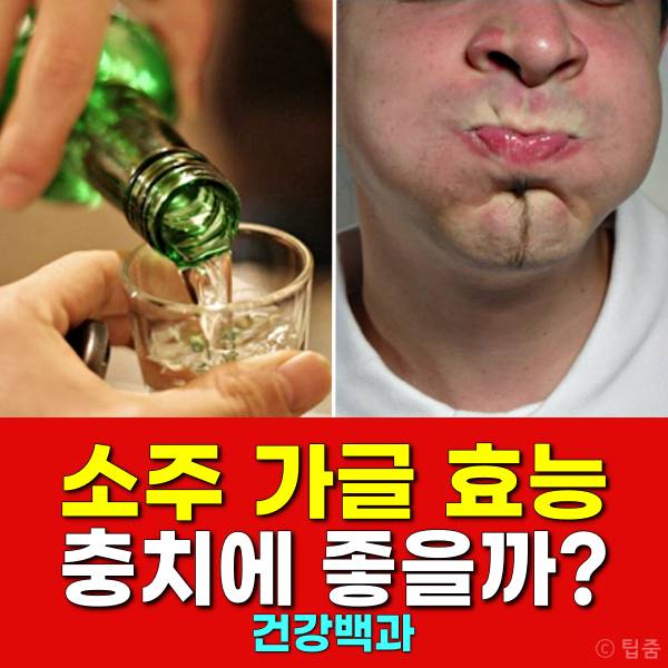 소주가글효능 부작용 충치 구강암