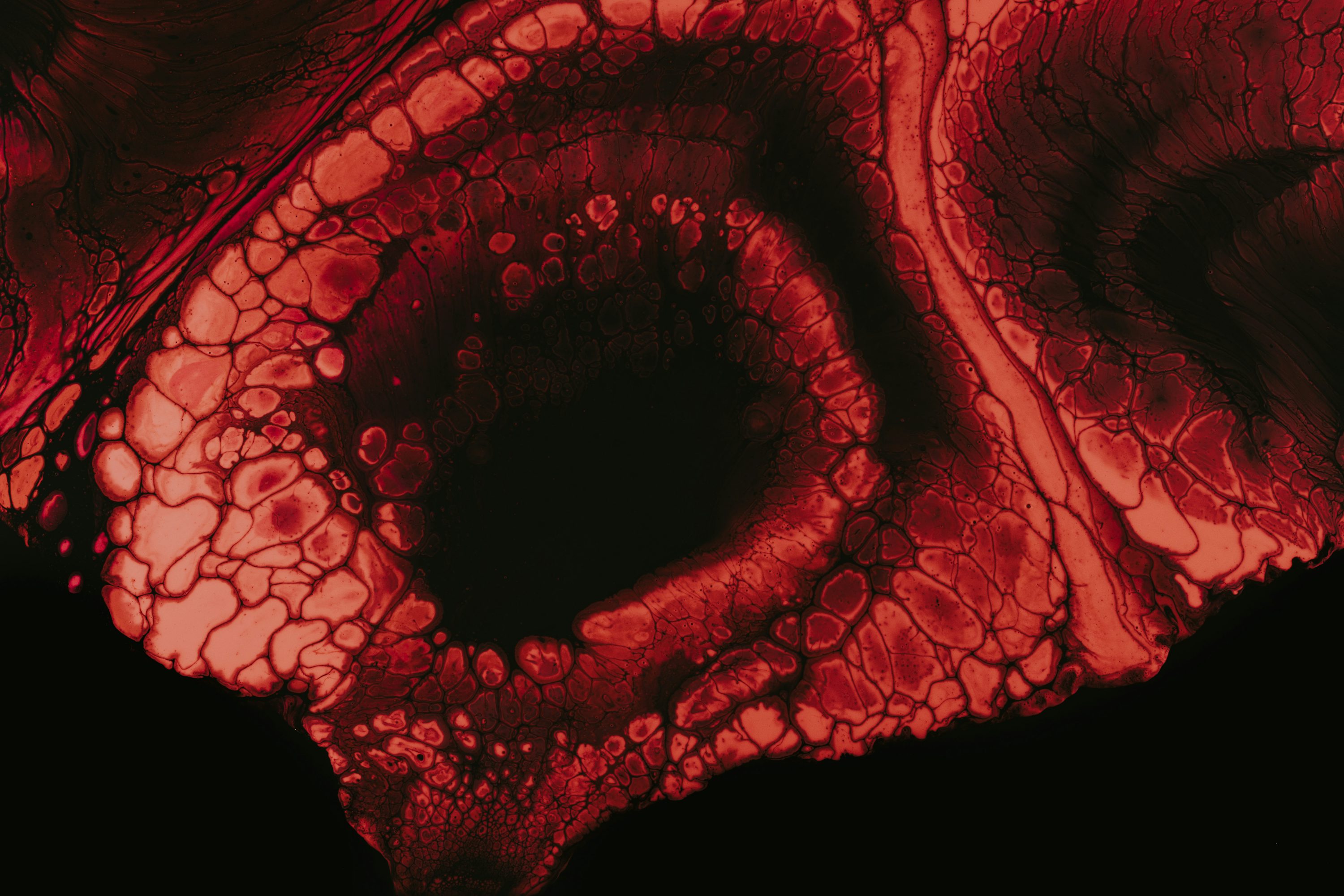 사암침법에서의 오행과 육기의 관계(주역, 육기, 육경변증)의 이미지
