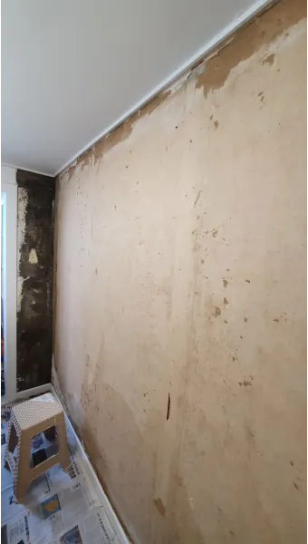 곰팡이 제거 방법 방지 페인트 냄새 없애기_17