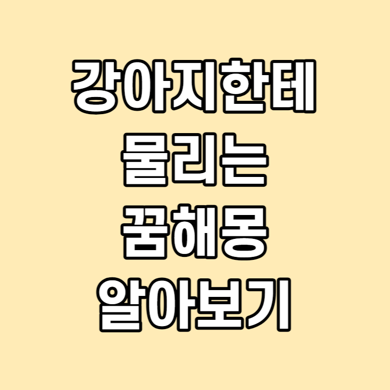 강아지한테 물리는 꿈 해몽 썸네일